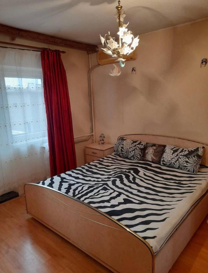 Ploiesti ultracentral !!! Extérieur photo